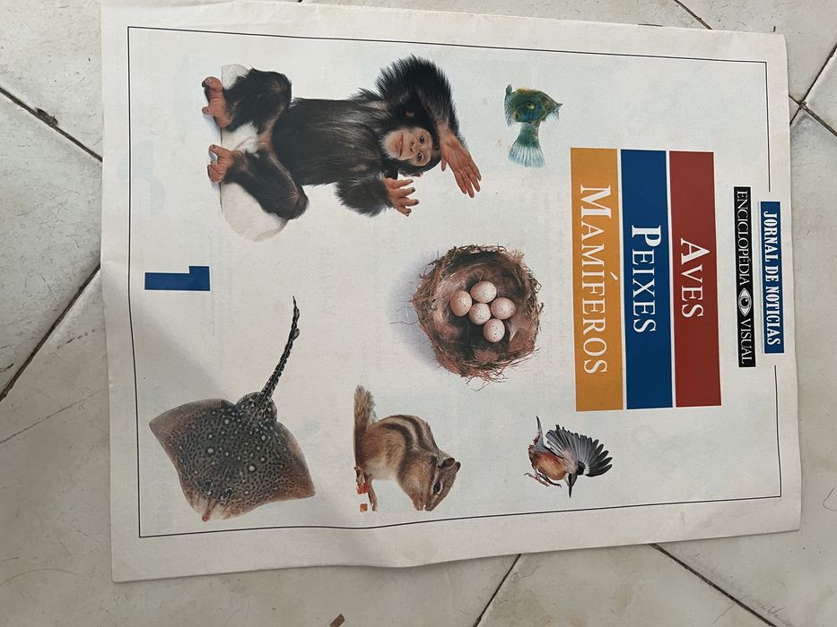 Revistas antigas JN Enciclopedia Visual