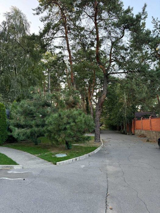 Продажа уникального участка в лесу Обуховка Кировское р-он Коляды