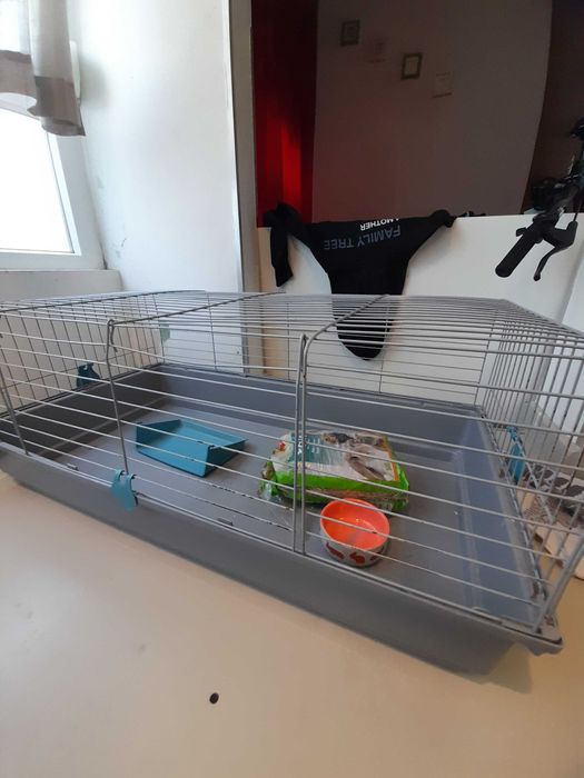 Gaiola para roedores grande