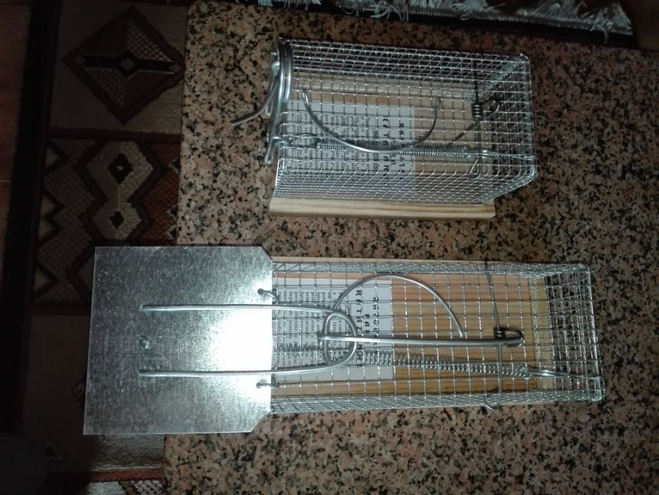 Armadilha para apanhar ratos vivos