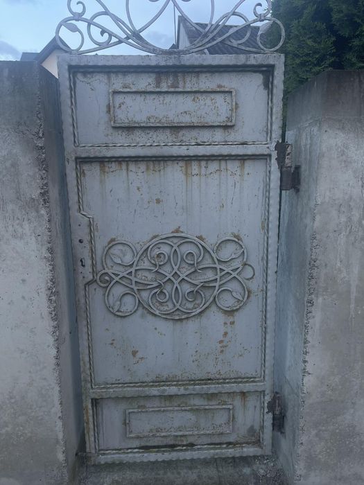 Брама сіра  бу•••