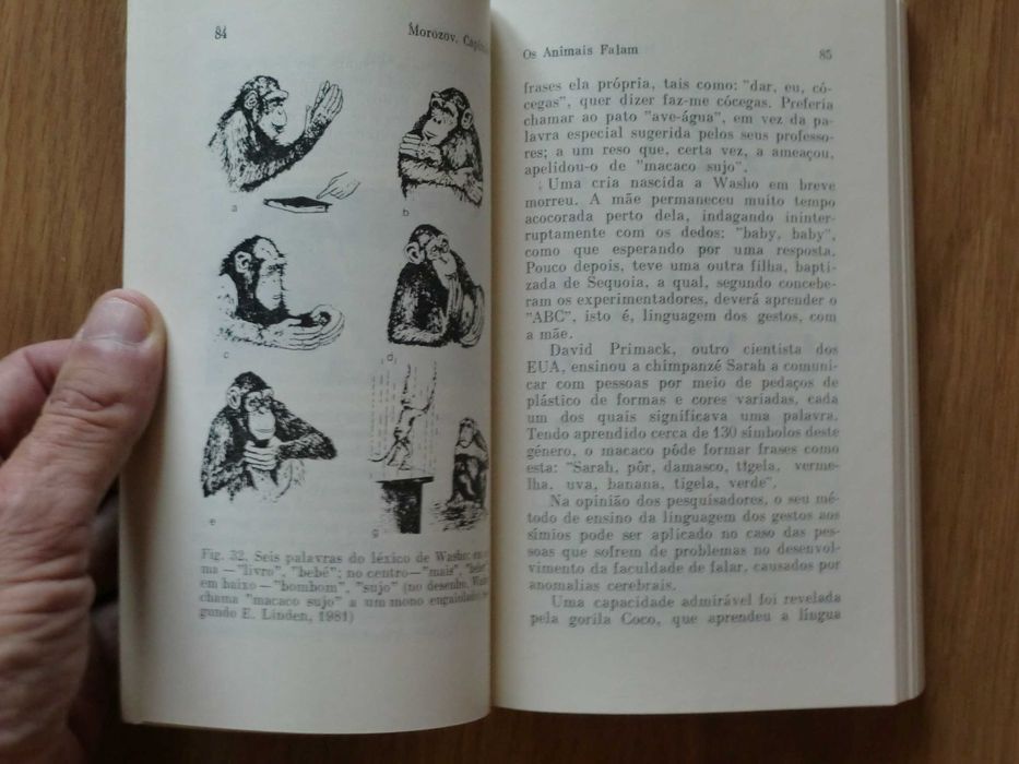 A Linguagem dos Animais de V. P. Morozov