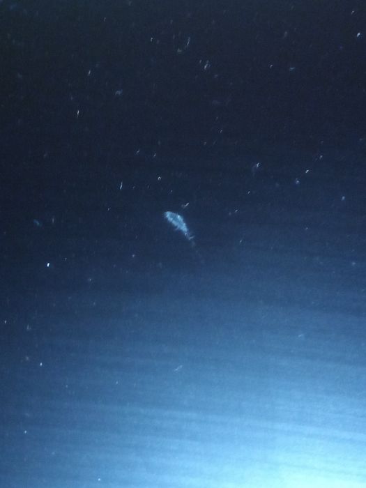 Монитор SAMSUNG 24" S24R350FZI (LS24R350FZIXCI)