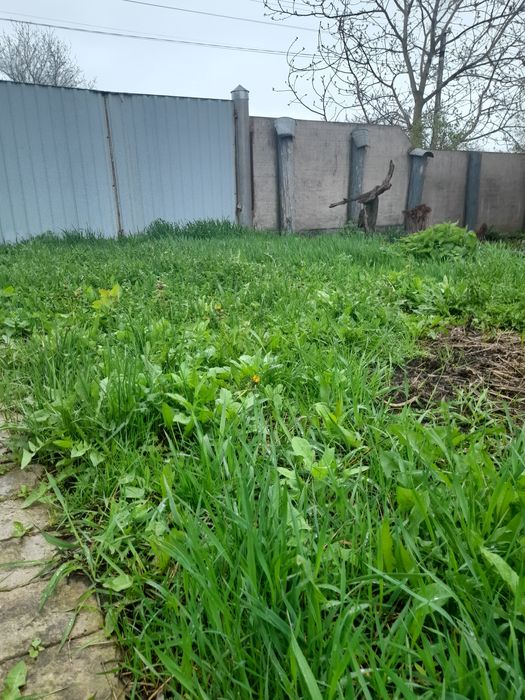 Здам будинок в оренду