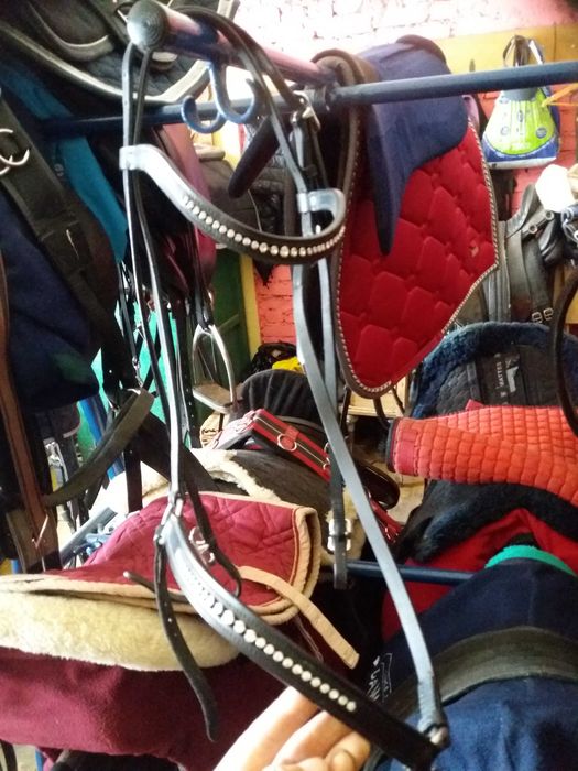 Ogłowie hanowerskie Loesdau