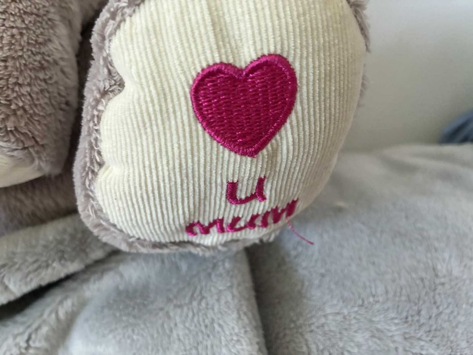 duża rodzinka słoni