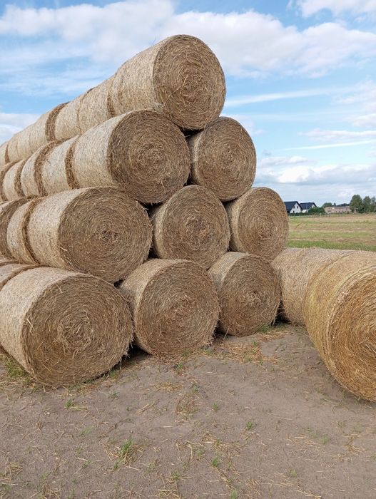 Sprzedam siano i słomę