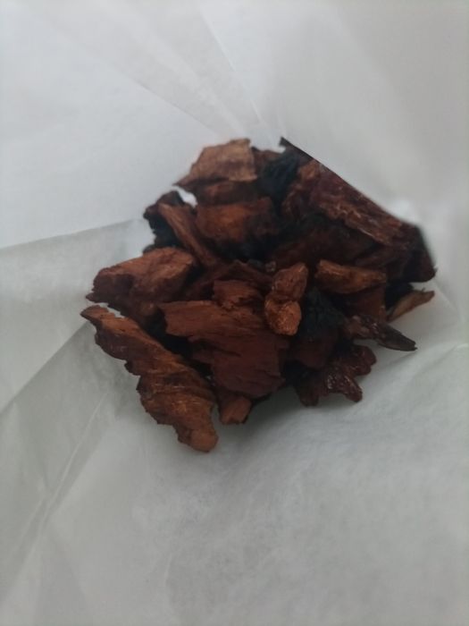 Czaga 100 gr (kawałki)