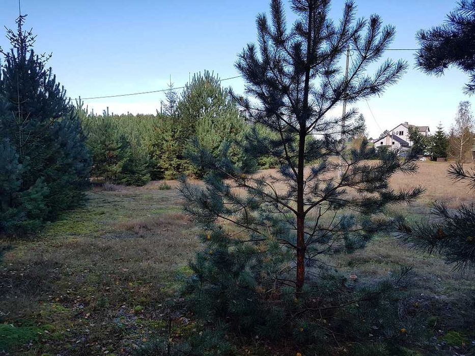 Działka budowlana pod lasem z WZ-ką, Maliszewo 1132m2