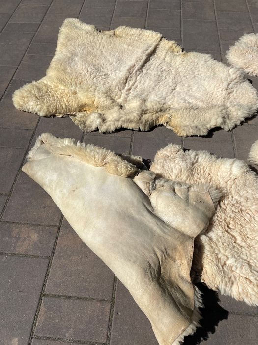 Skóry z owiec naturalne