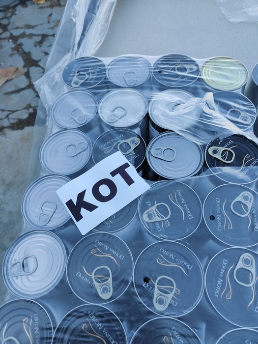 Puszka dla kota DNP 48x400 g