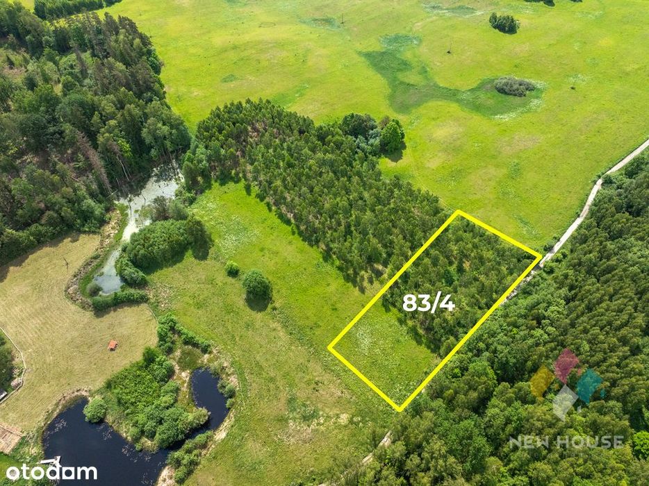 Działka z lasem 13 km od Olsztyna