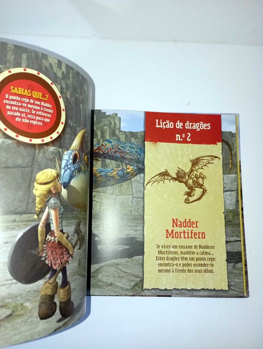 Guia de Bocarra para combater Dragões