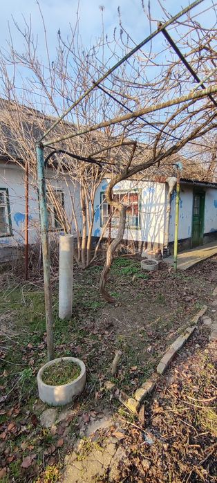 Будинок за адресою (площа 65 м²) - Atlanta.ua - фото 2