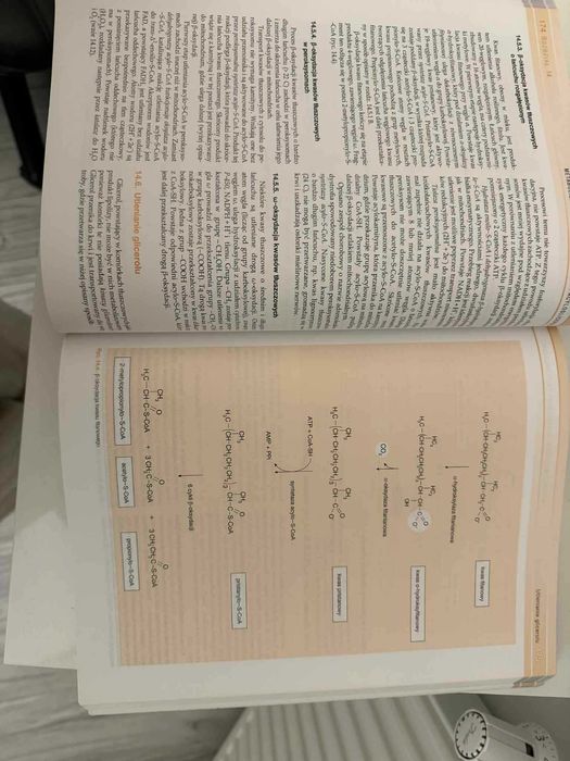 BIOCHEMIA Edward Bańkowski Edra