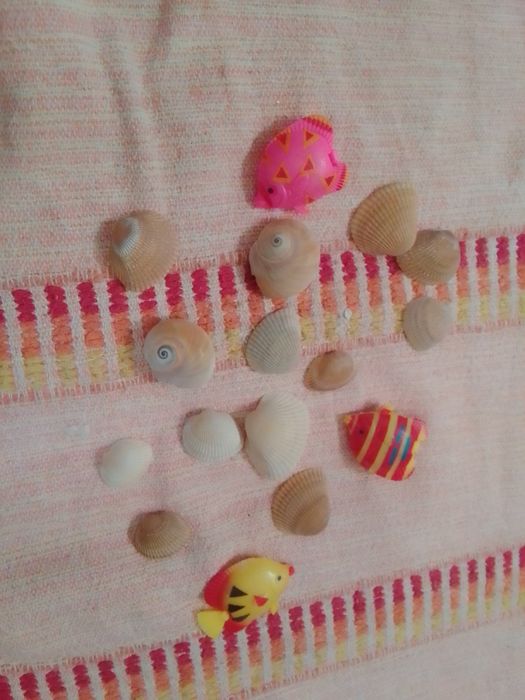 Peças para aquário de peixes só 3€