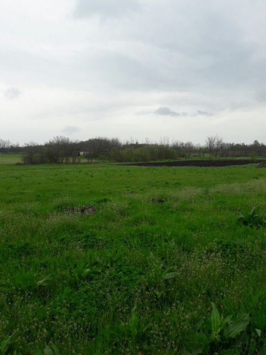 SALE Продам земельну ділянку Криве Озеро