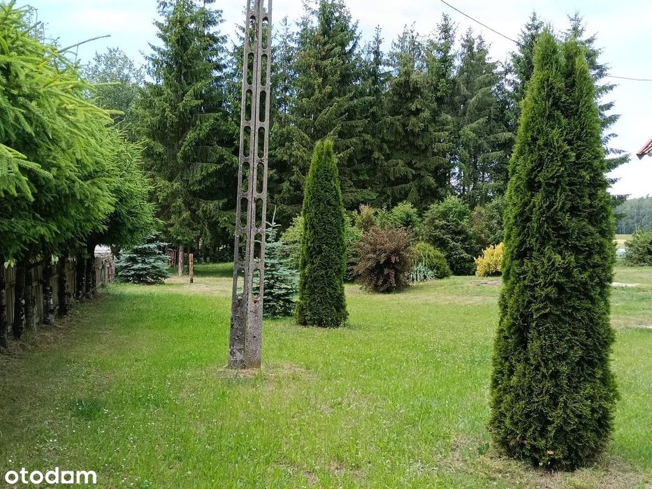 Gospodarstwo blisko lasu | 3,36 ha | Dom 125 m²