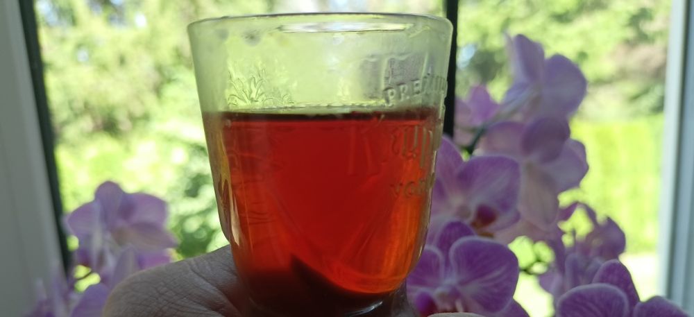 Propolis 30% pszczeli