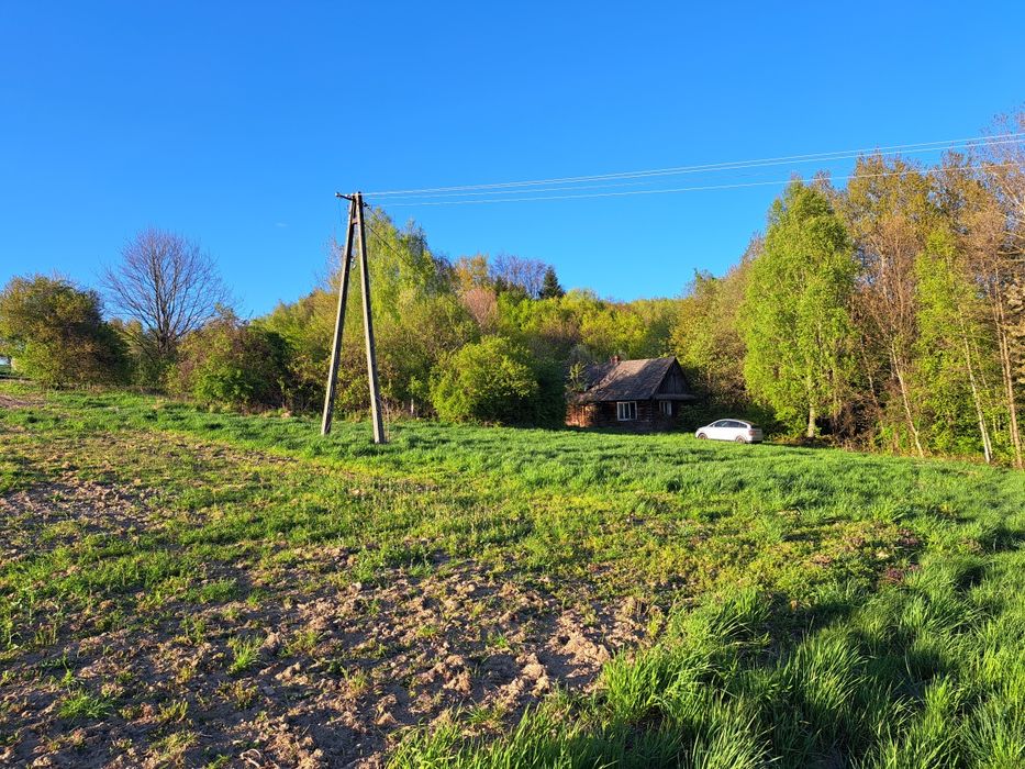 Na sprzedaż działka 45 ar z drewnianym domem i budynkiem gospodarczym – piękna okolica pod lasem - Widok 4