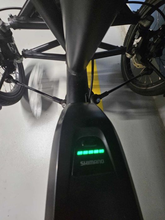 Rower rodziny elektryczny