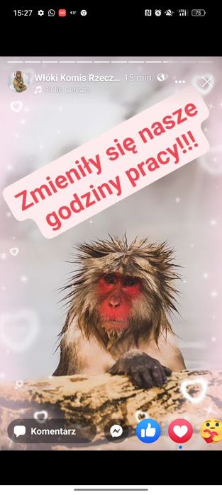 Stół zdrewniaby i 4 Krzesla