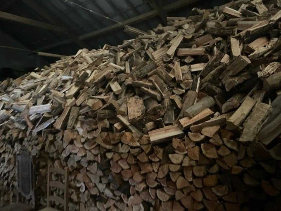 Vários tipos de lenha seca