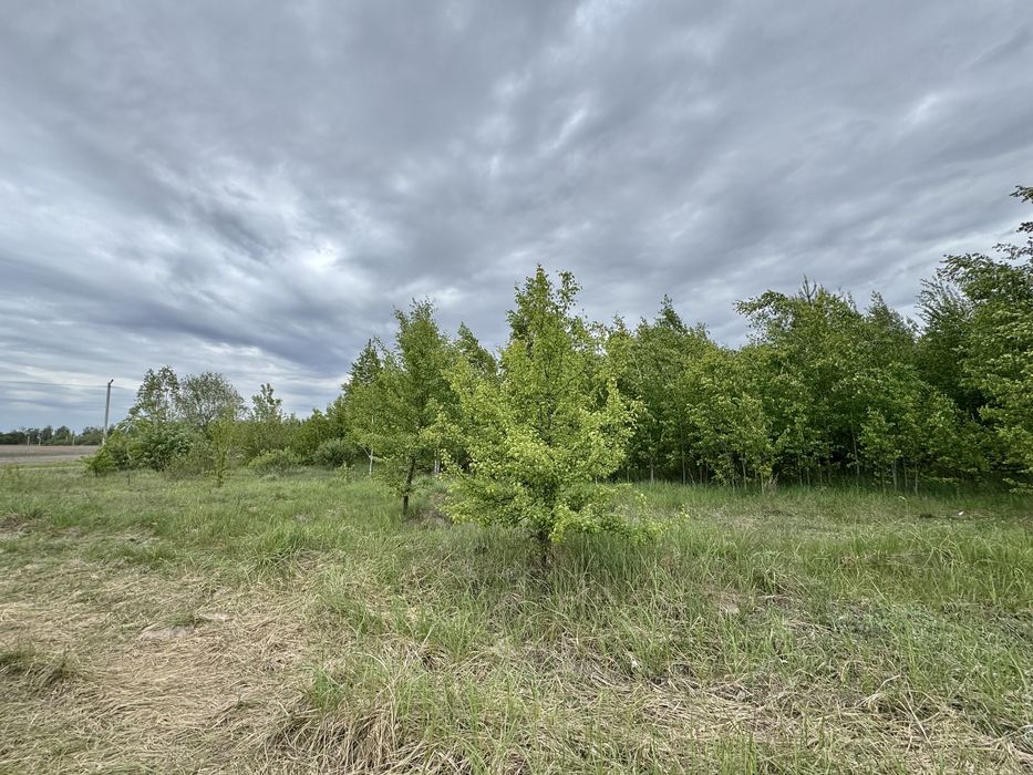 Земельна ділянка 1,5 га!!! Пилиповичі