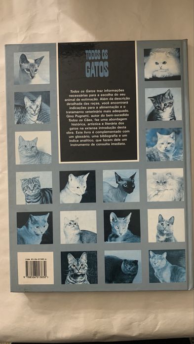 Todos os Gatos - Gino Pugnei
