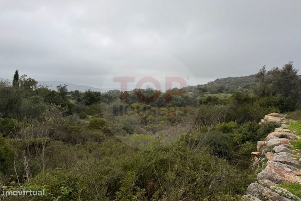 Terreno Rustico em Estoi