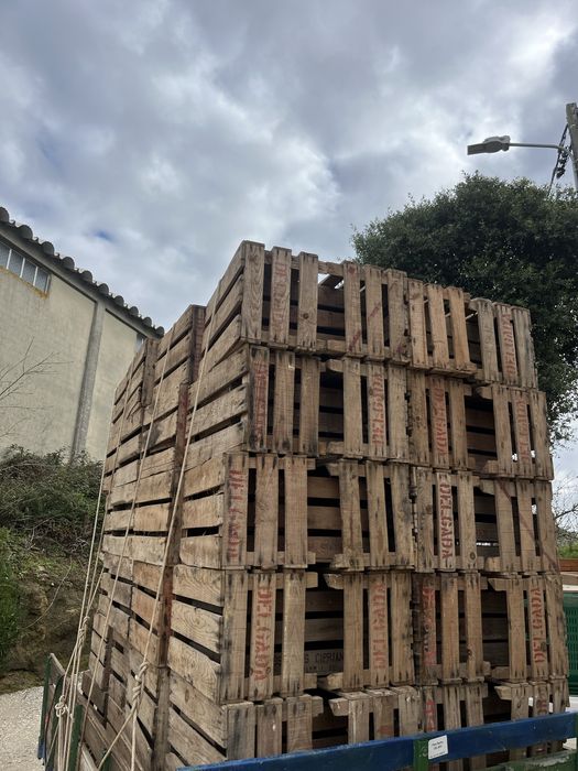 Caixas de Fruta em madeira para decoração