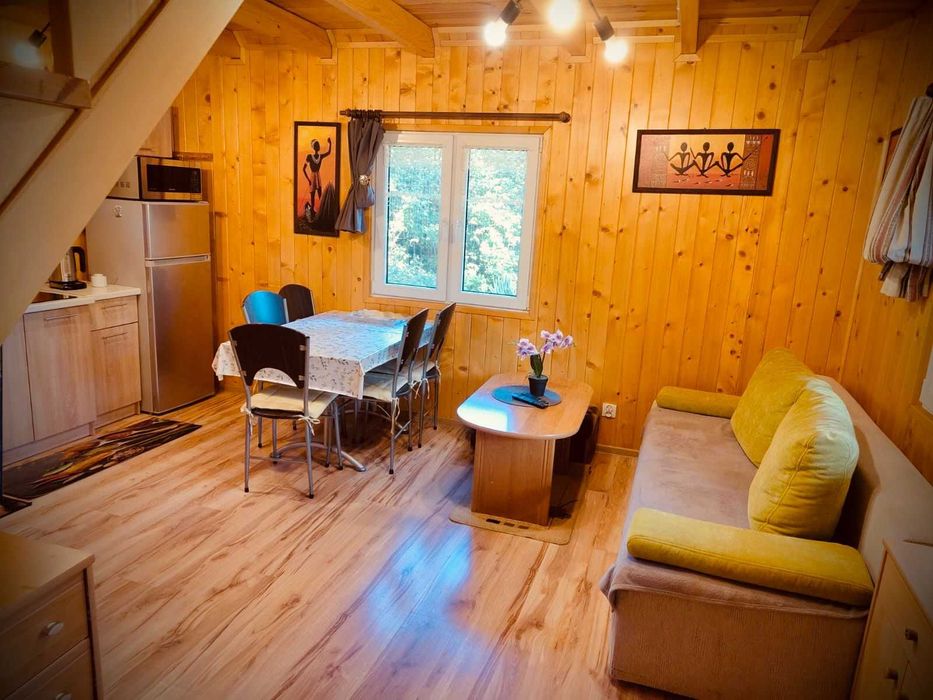 Domek letniskowy do wynajęcia ( 1 na posesji ) Tumiany, kajaki, łódka