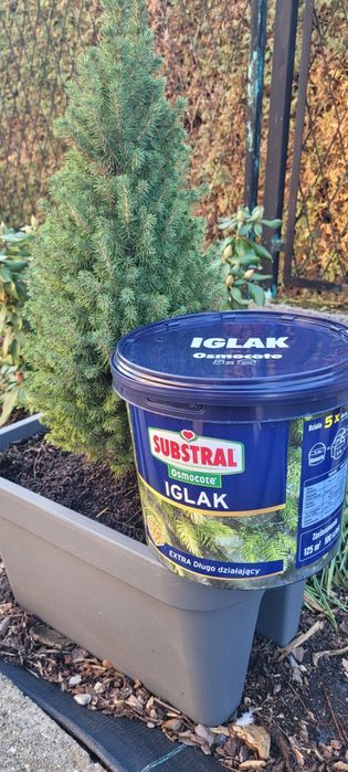 Substral Osmocote Iglak 5kg x2