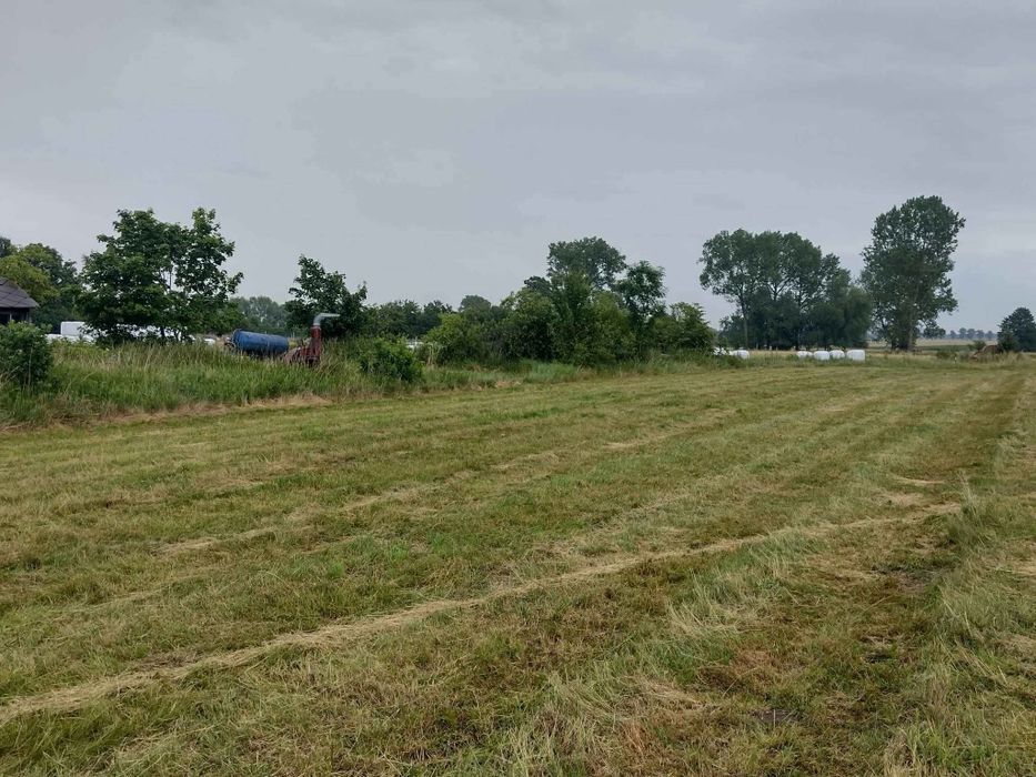 Działka Głużek 12a – pohled 3