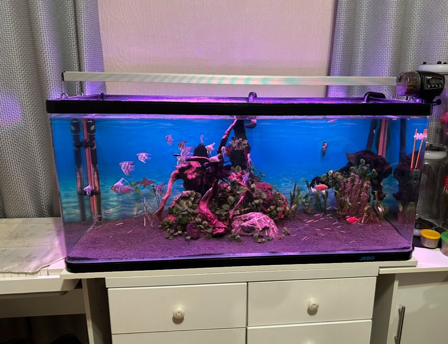 Акваріумний світильник Rival