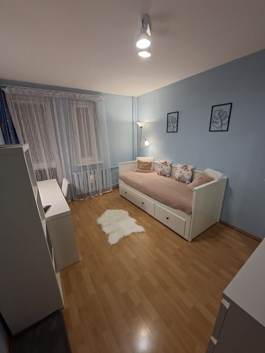 Zdjęcie 2
