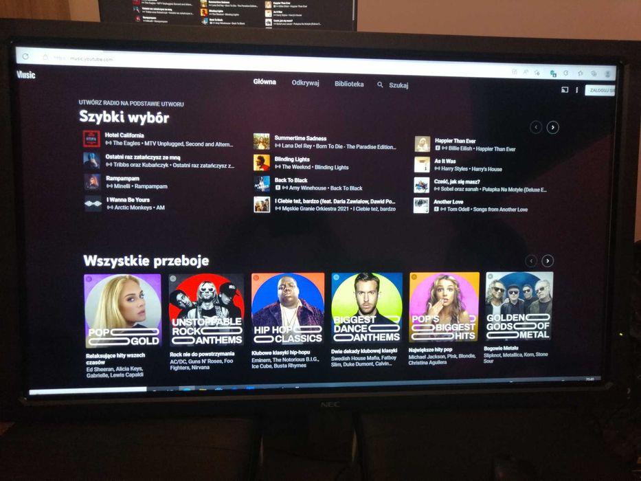 NEC multisync 48 v 484 - T