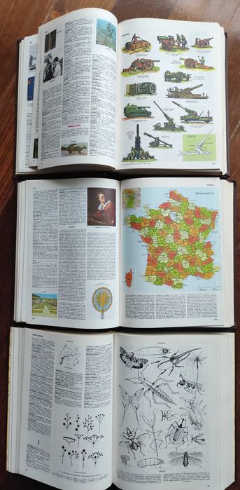 Dicionário Enciclopédico KOOGAN LAROUSSE SELEÇÕES