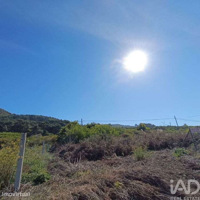 Terreno em Moledo e Cristelo