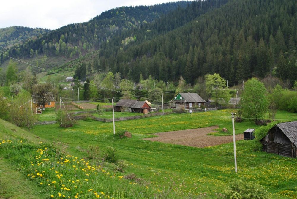 Земельна ділянка в Карпатах