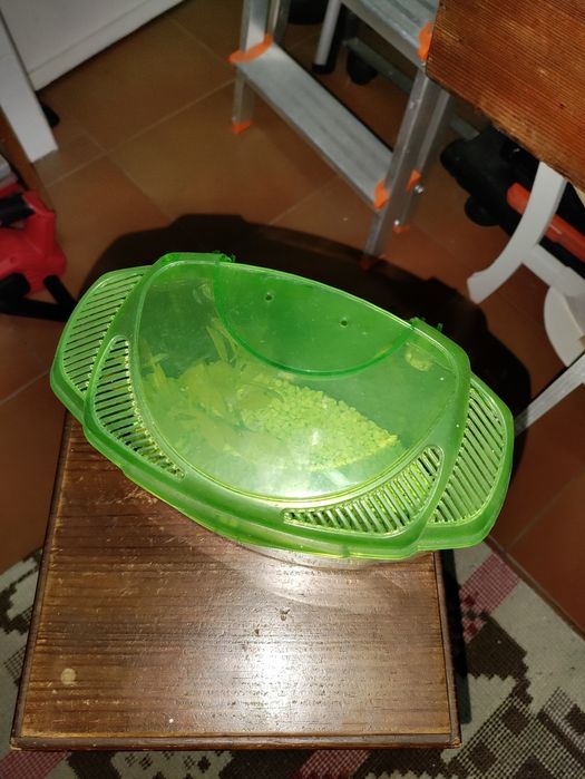 Aquário para peixes Betta