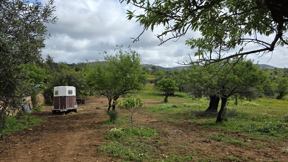 Terreno Rústico com Área Urbana – Estoi, Faro
Terreno rústico à venda