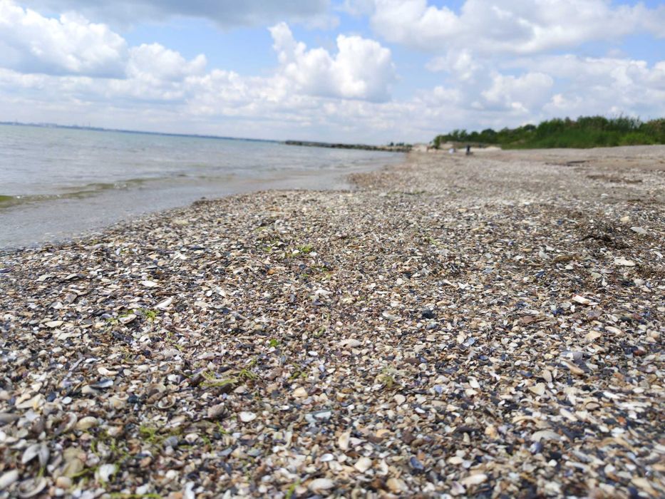 Сдаю комнаты у моря Крыжановка, Одесса