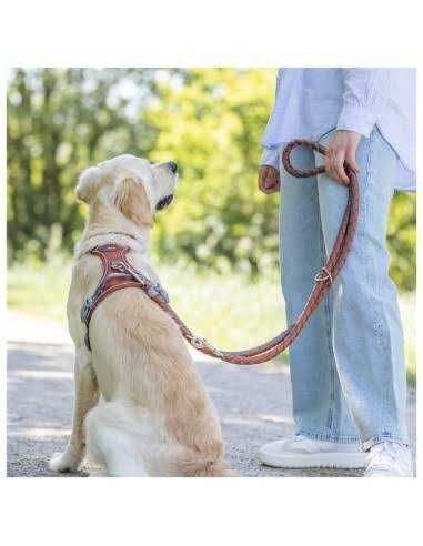Passeios individuais para cães (Caldas da Rainha)