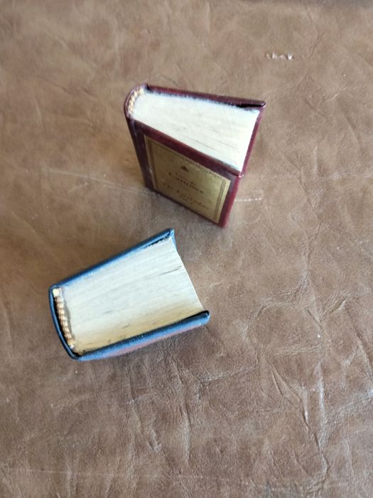 Livros em miniatura (vintage)