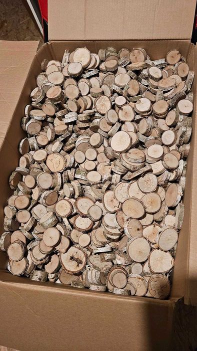 Plastry brzozy - Paczka 100 sztuk, Suche