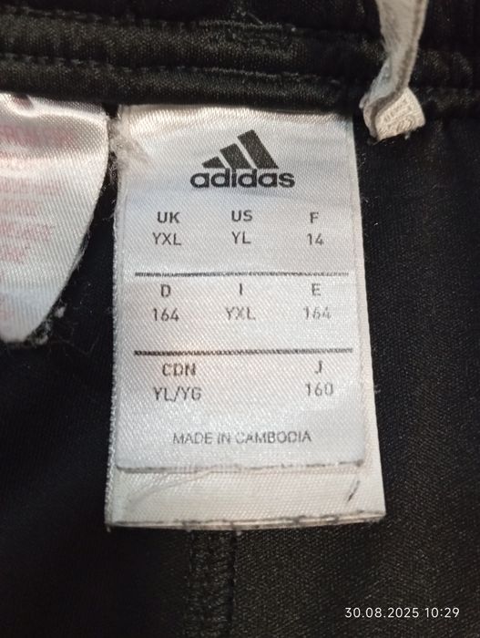 Чоловічі шорти Adidas