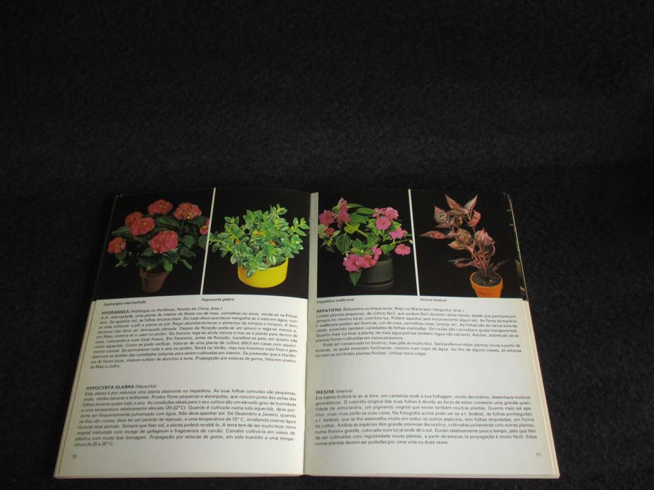 Livro Plantas de Interior Rob Herwig