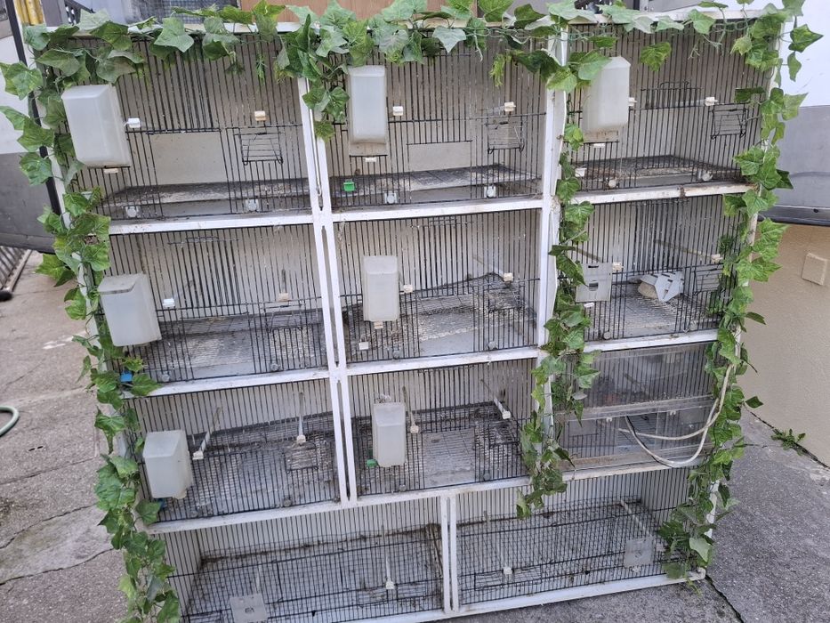 Vários viveiros e gaiolas