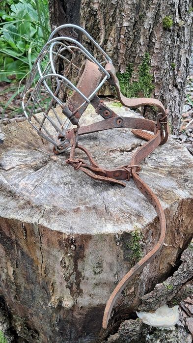 Kaganiec metalowy dla dużych ras psów